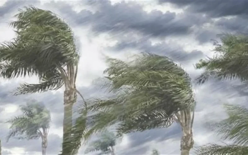 «الأرصاد» تحذر من الصقيع والشبورة خلال الأيام المقبلة